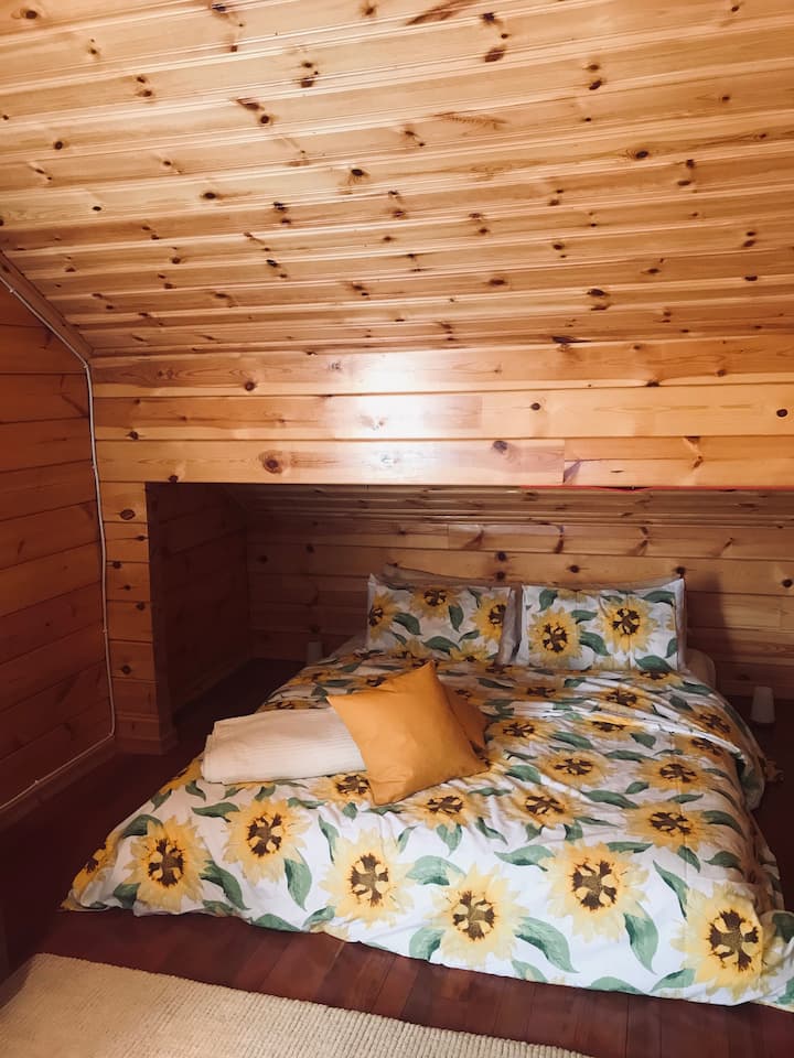 Habitación 2