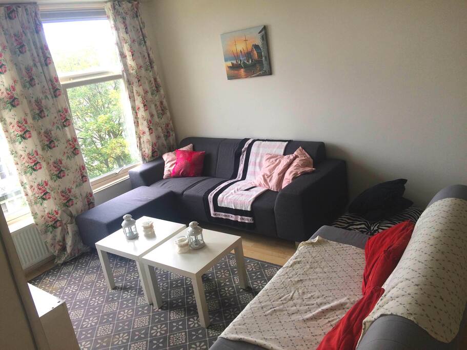 Light spacious living room, including sleeper sofa