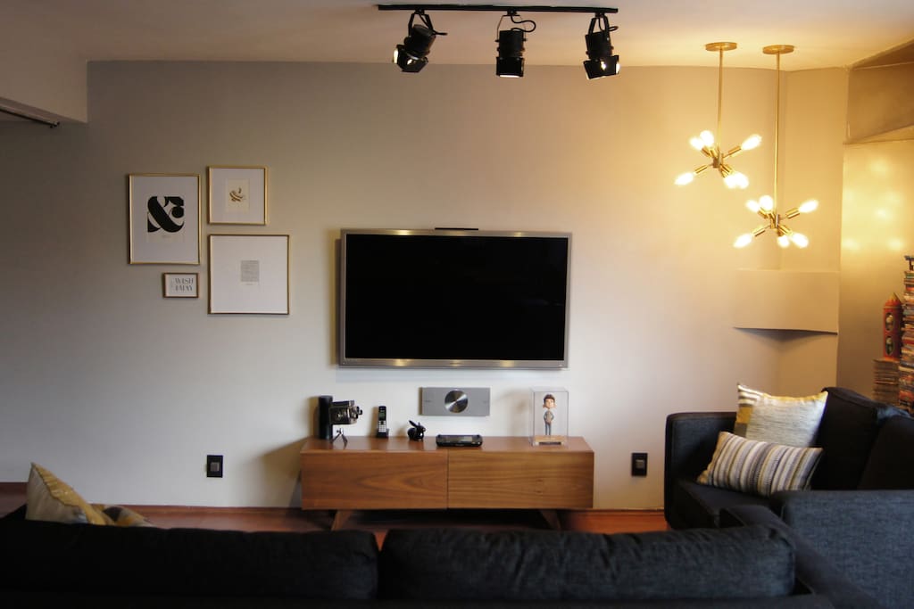 Netflix, WiiU, BluRay, and Amazon echo sound system avaliable