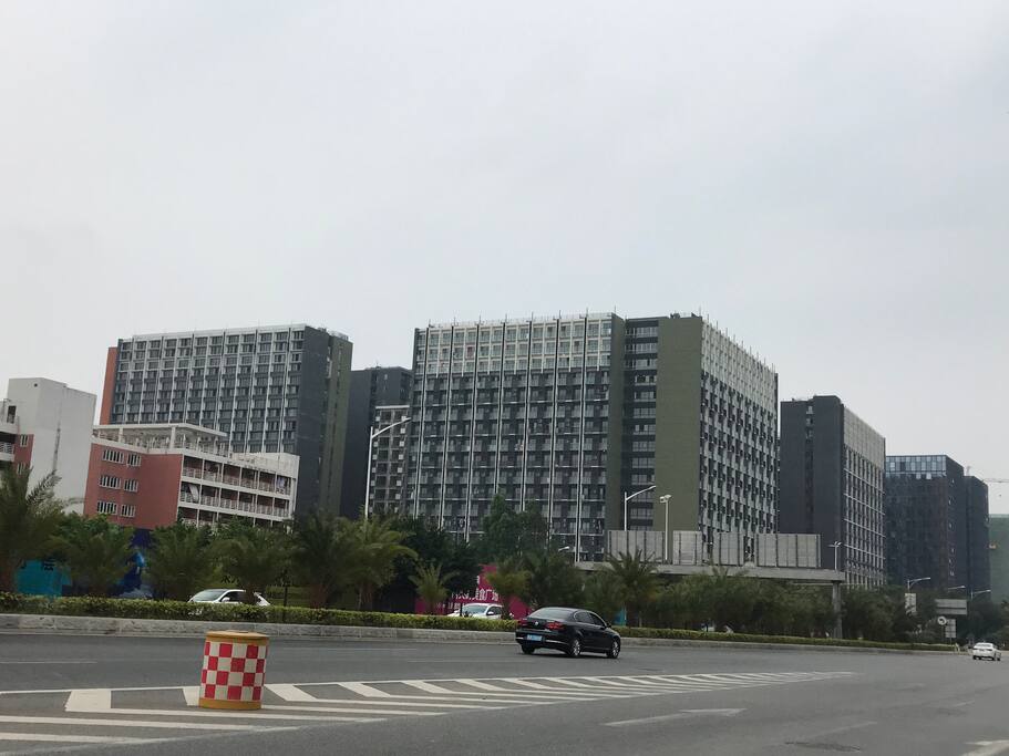 全境 panorama