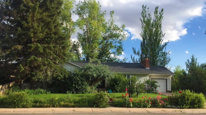 Big, comfy home near parks and UW East Campus