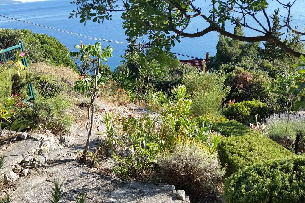 View from garden