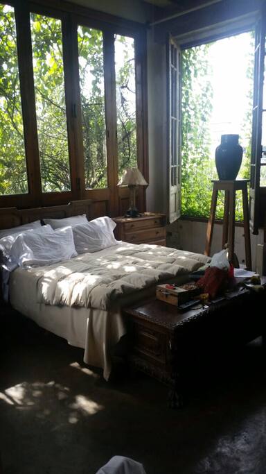 Surrounded by light and nature.