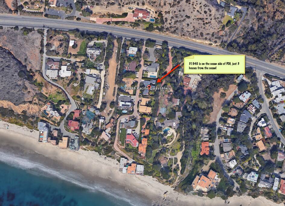 See who close we are to whales, dolphins and a world renown beach?