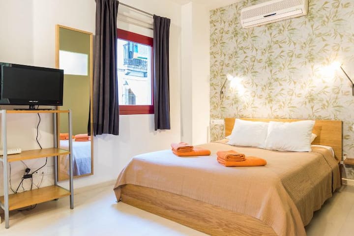 EXCLUSIVE USE House in the City Center/Beach