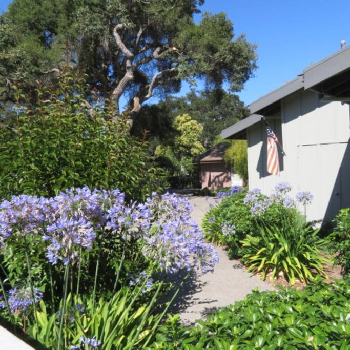 Front of house to driveway