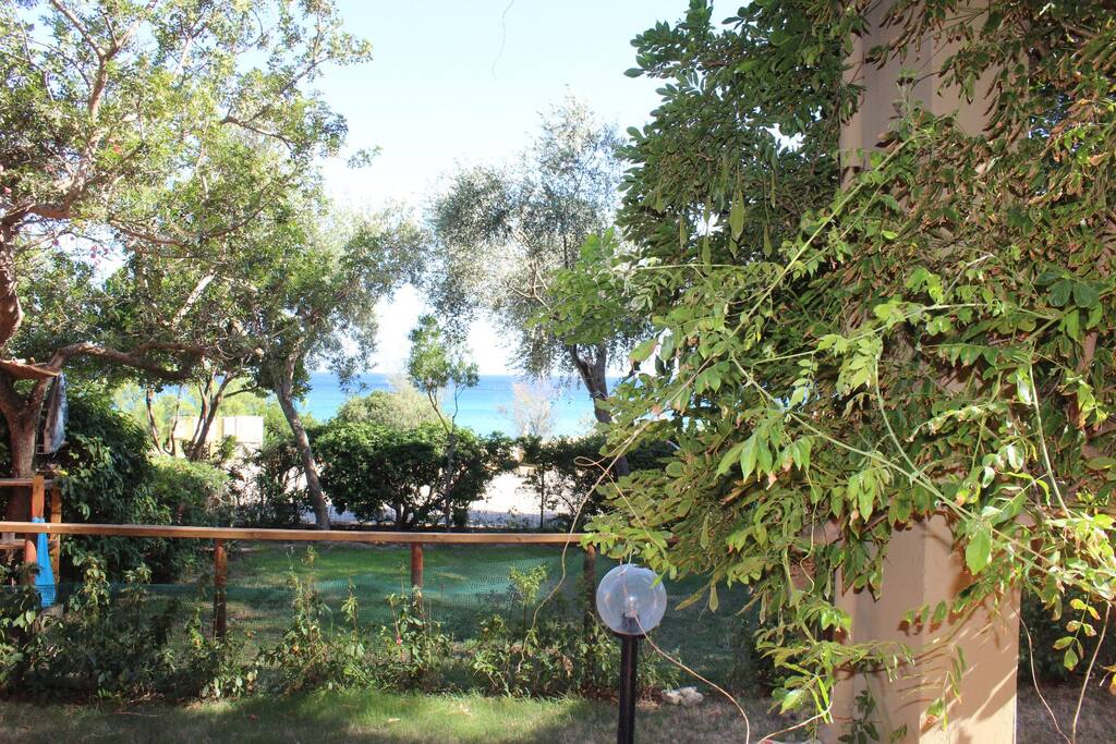 view from the house