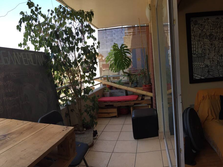 Terraza comun