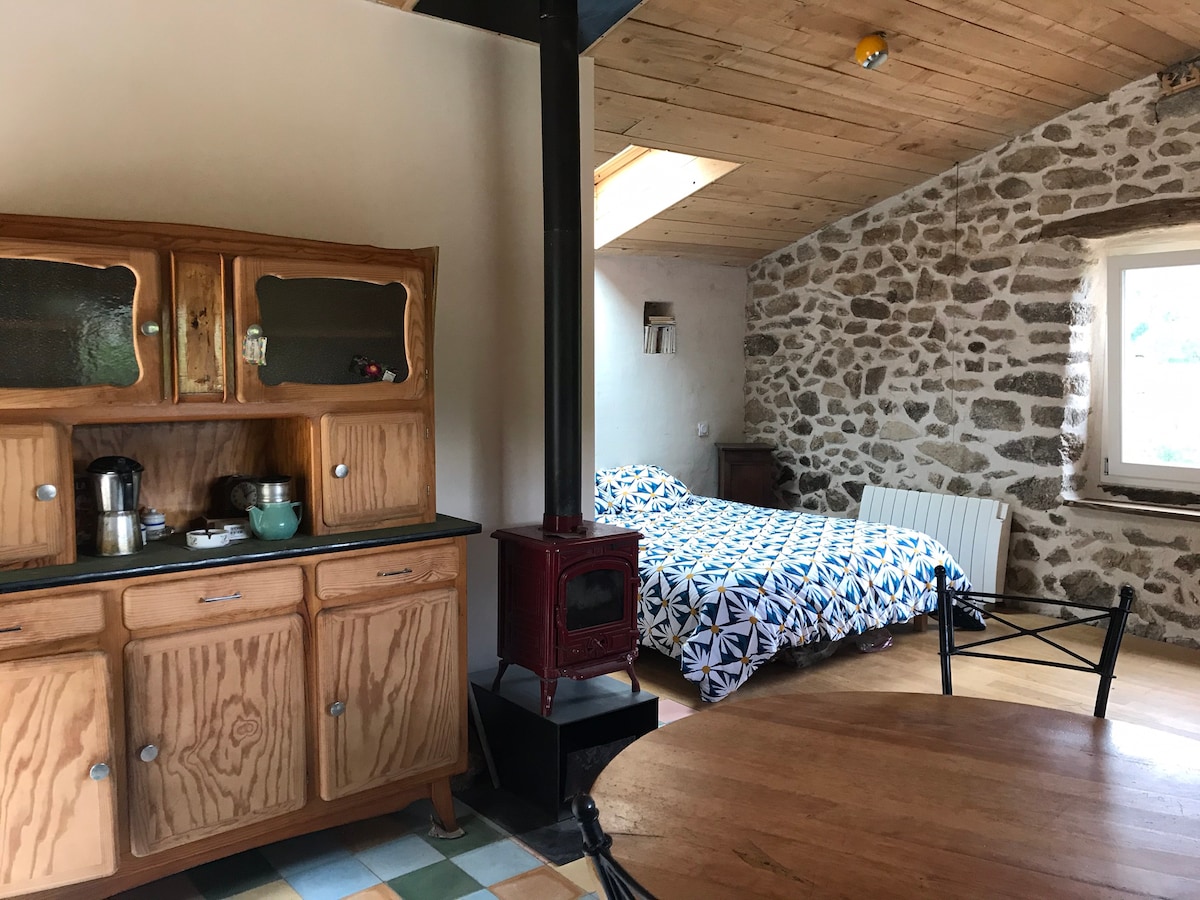 A well-lit studio space features a comfortable sleeping area with a patterned blanket on the bed, complemented by natural wood accents. A vintage cabinet and a small red stove are positioned near a dining table, all enhanced by stone walls and wooden ceiling panels.