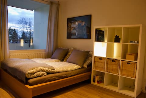 Top performing Airbnb: Cozy studio in Immenstaad 500 m from the lake. in Immenstaad Am Bodensee