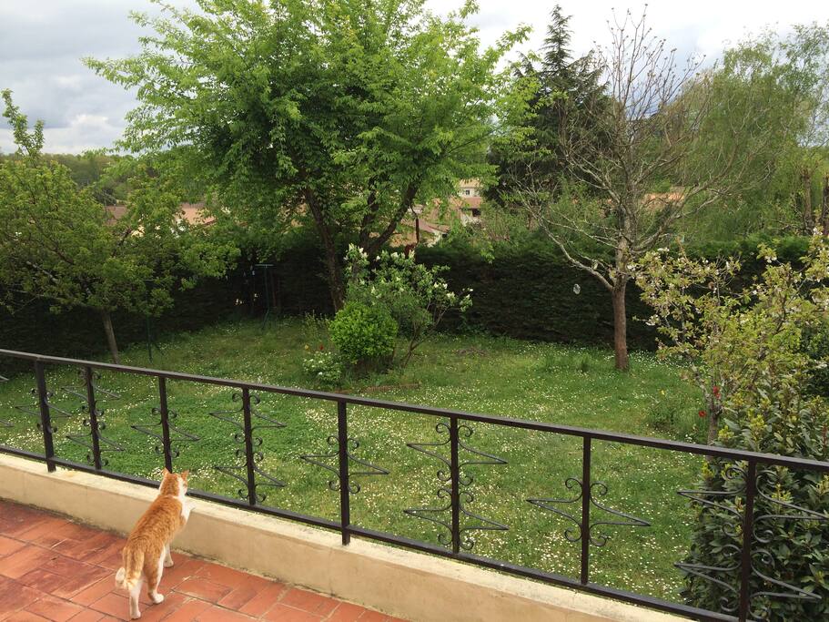 Vue du jardin depuis terrasse