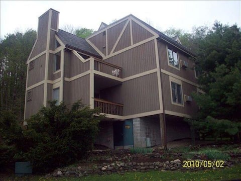 Top Airbnb: Adorable Ski/Golf Condo at Peak N Peek in Western Southern Tier Rural