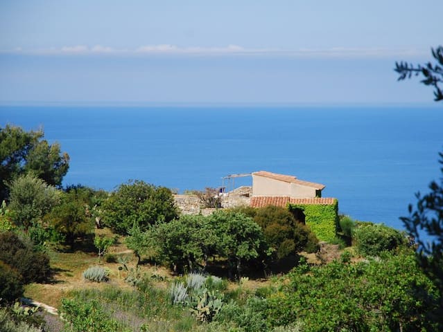 listing_image