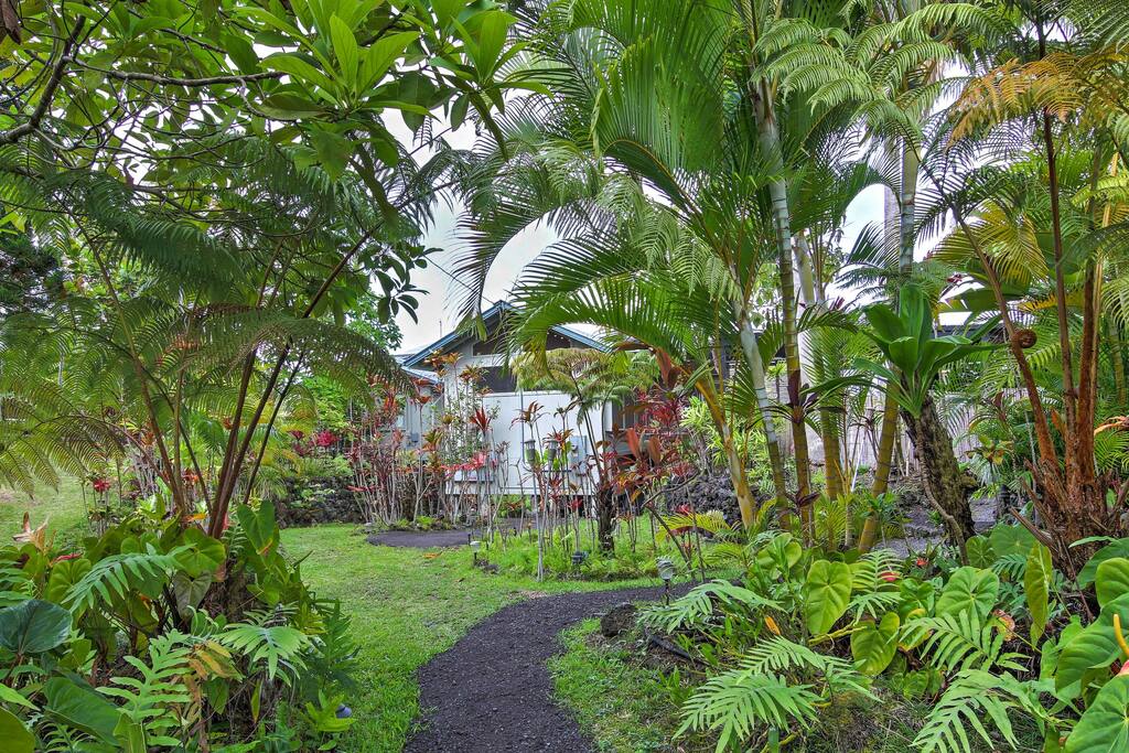 The home is located on a working coffee, avocado, and citrus farm!