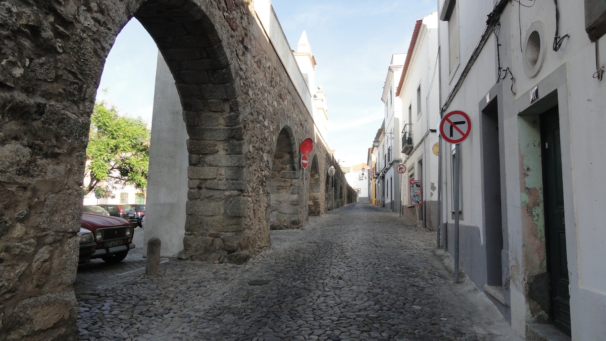 A narrow cobblestone street is framed by historical stone arches on one side. Buildings displaying traditional architecture are visible, with a mix of painted stone and plaster facades. Street signs indicating parking restrictions are positioned along the road. Lush greenery peeks in from outside the street's borders.