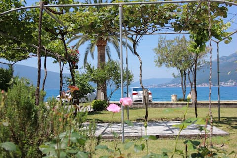 Popular Airbnb listing: Blue Night Apartment 2 in Donja Lastva
