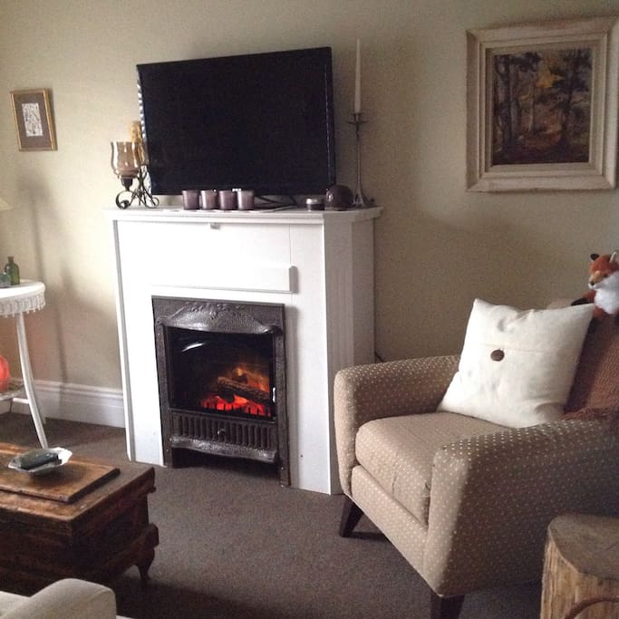 livingroom electric fireplace