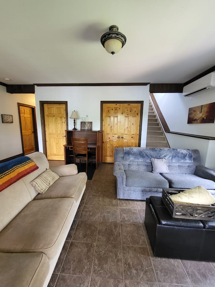 Sala de estar en el sótano con sofá y sofá cama.