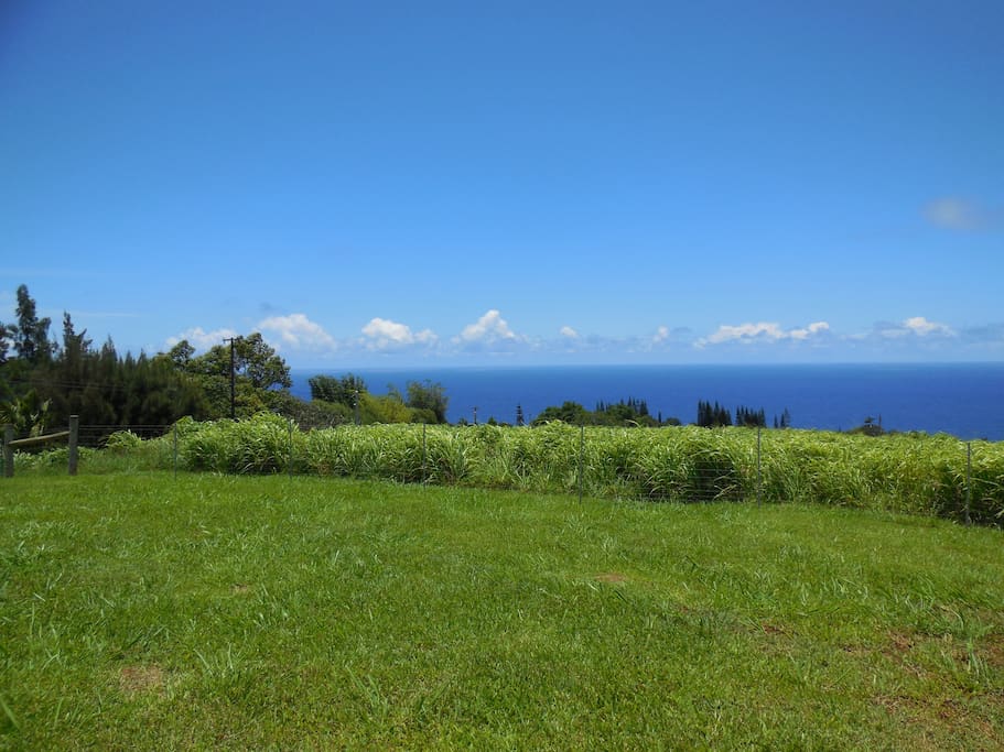 Spectacular panoramic ocean view