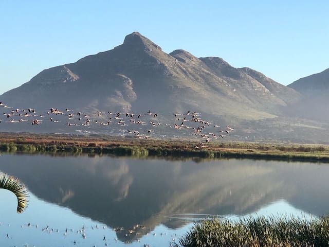 “Seaside Bliss: Nature Reserve Escape”