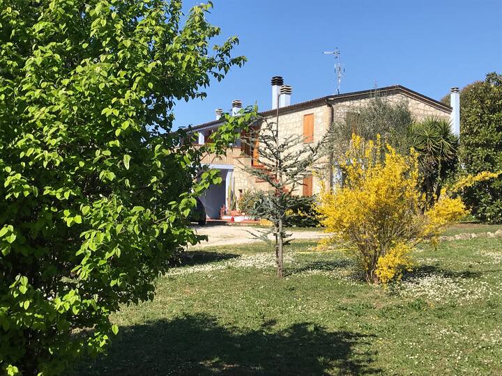 Casa Vacanze Nonna Maria - Martinsicuro