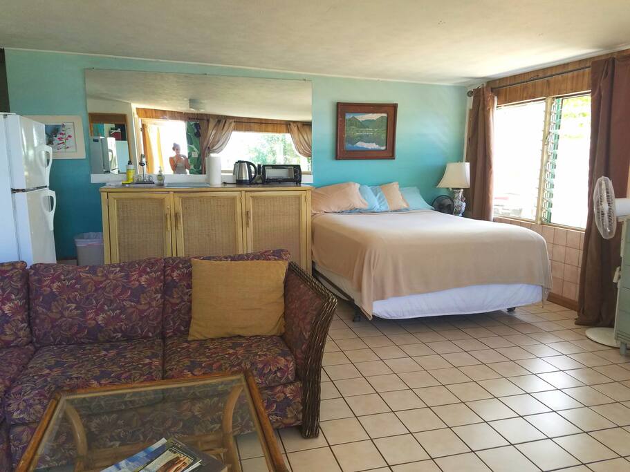 Spacious, lots of natural light and air flow