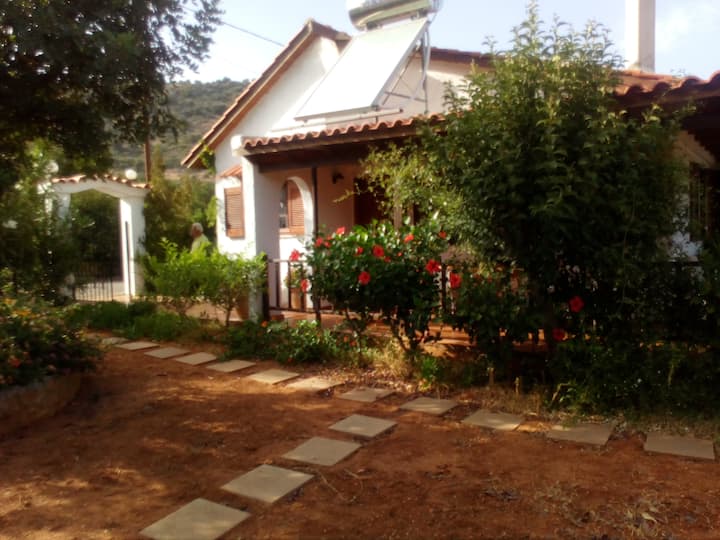 Cretan Cottage in Stalis Houses for Rent in Stalis, Crete/Heraklion