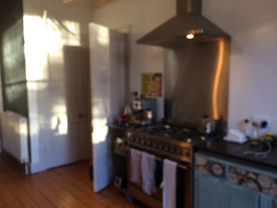 Kitchen/ Living Area
