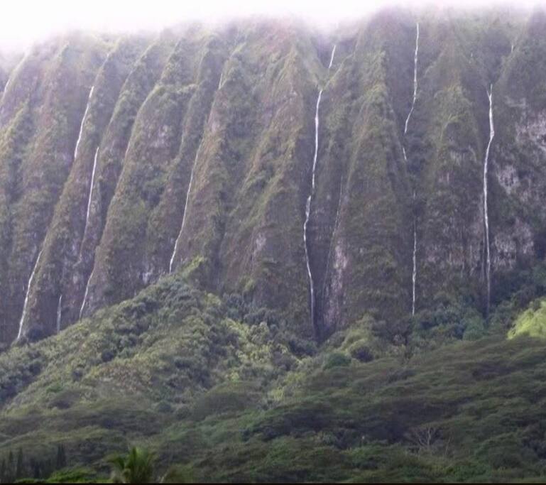 Beautiful lush mountain range you could almost touch!