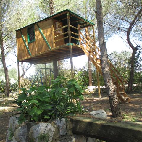 RESERVED FOR LARGE GROUPS: Farm with swimming pool gallery image 4