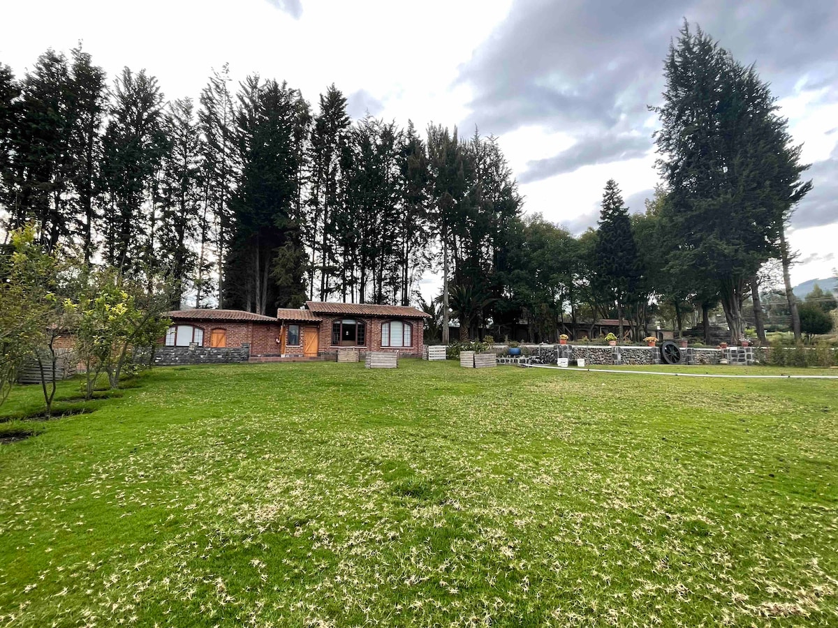 A spacious grassy area is surrounded by tall trees, providing a natural backdrop to a rustic cabin. The cabin, featuring large windows, offers a welcoming entrance, while outdoor seating can be seen in the distance, inviting relaxation in a serene environment.