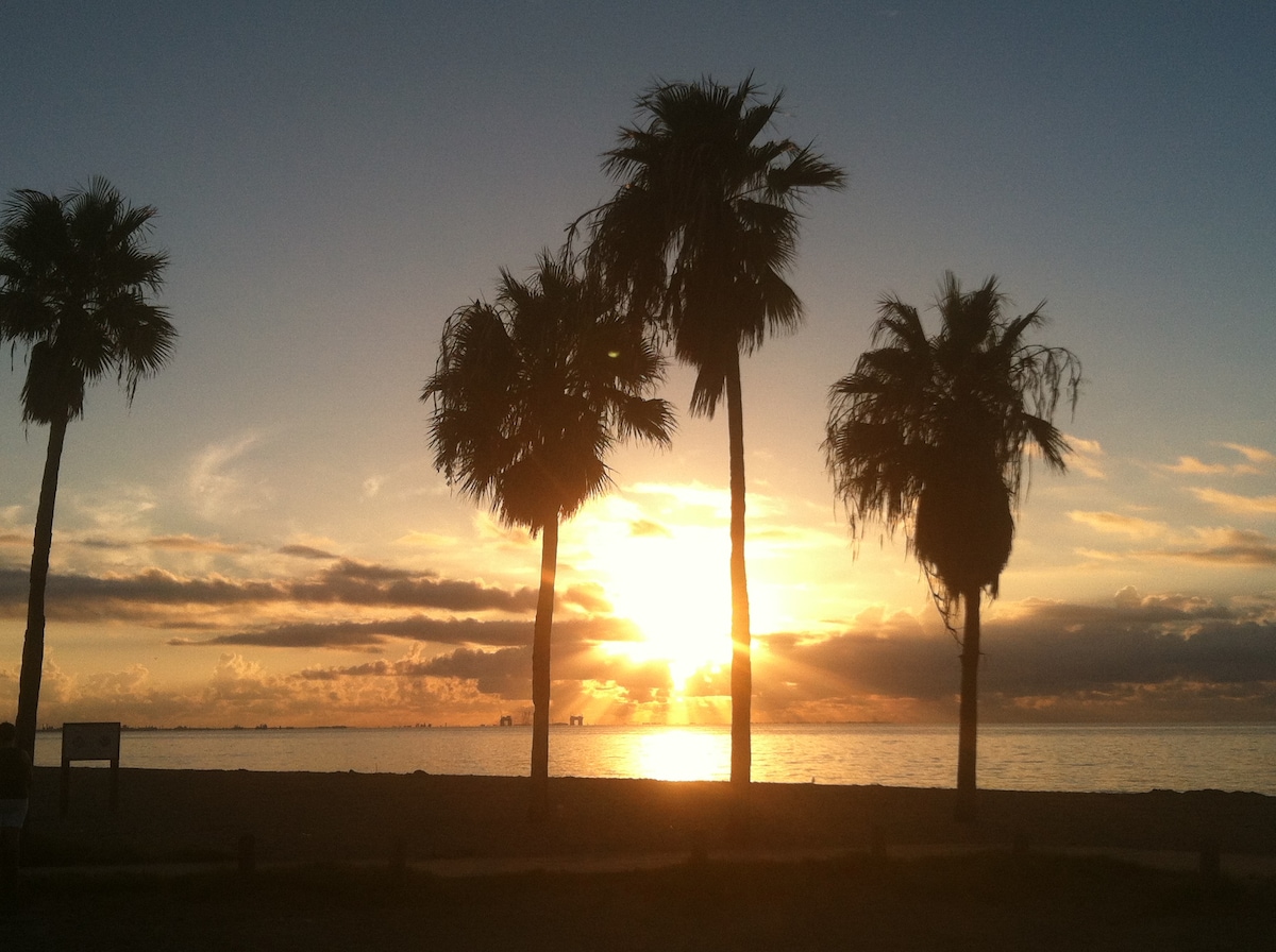 Silhouetted palm trees stand against a vibrant sunset over the ocean. The sun sets on the horizon, casting warm hues across the sky and reflecting on the water's surface. The tranquil beach scene evokes a sense of calm and relaxation.