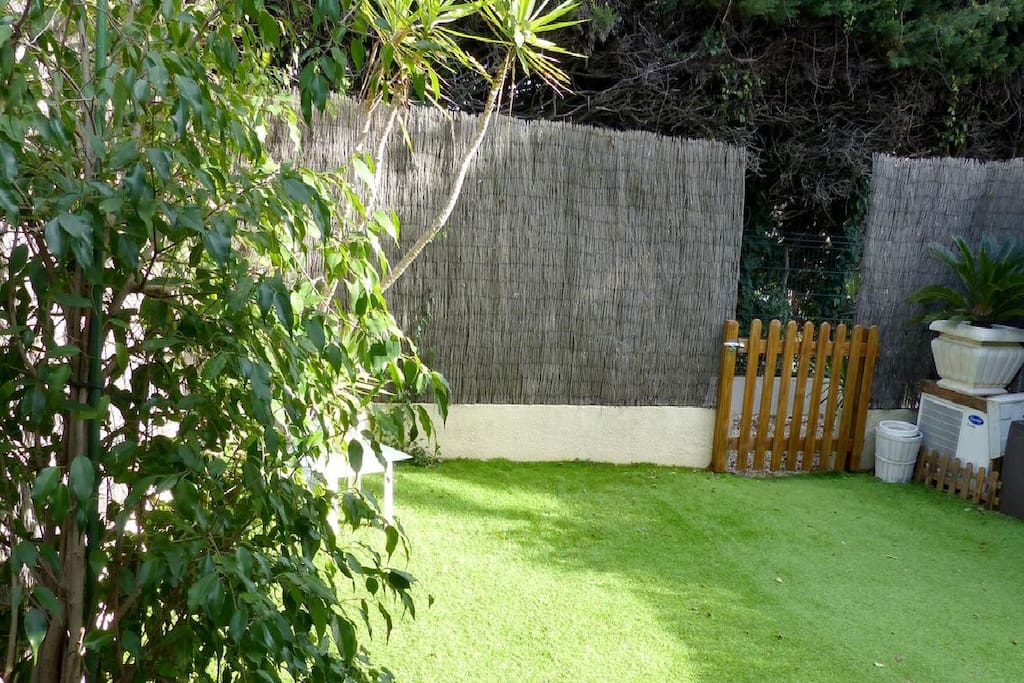 Nice green plants in the garden
