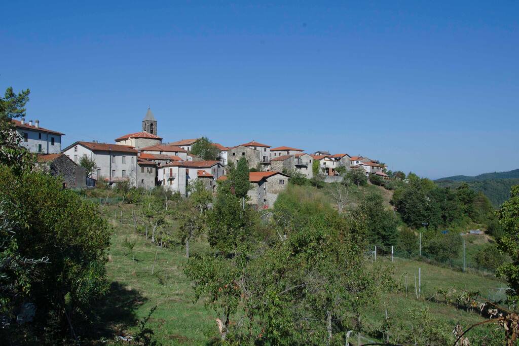 Casciana on the hilltop looking up from the olive groves
