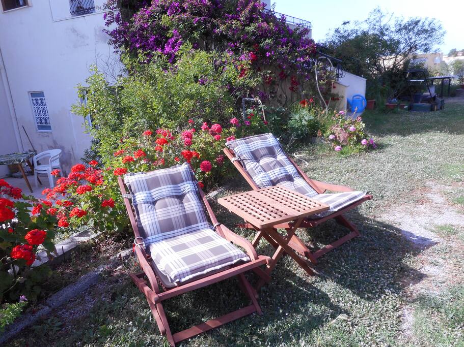 You can sunbath in the garden.