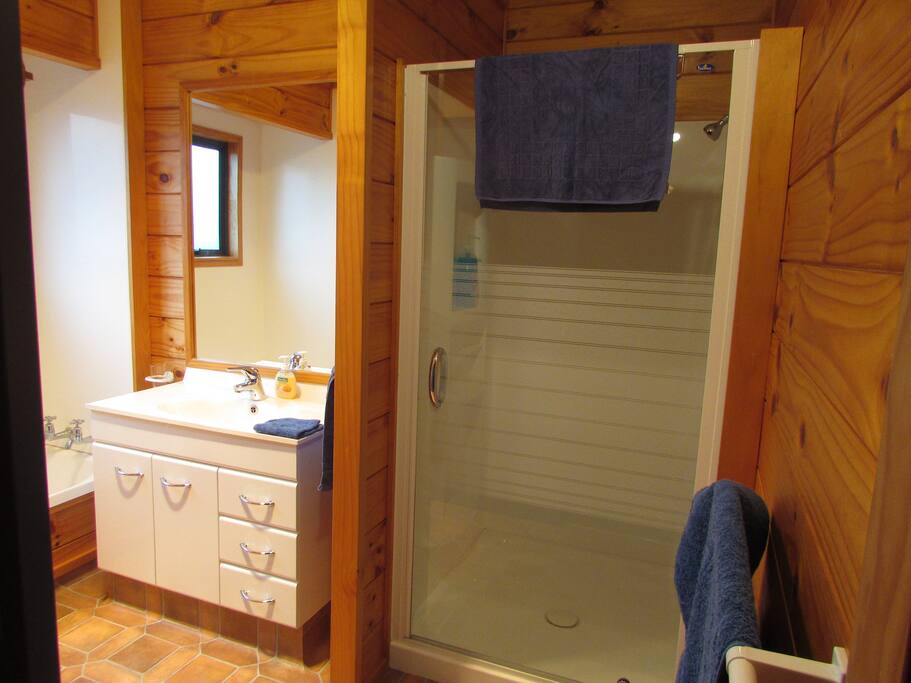 Shared guest bathroom with bath and large shower