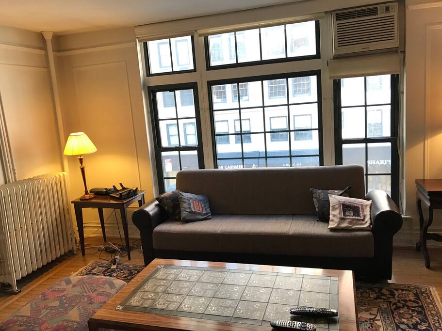 Living room with sofa which converts to a full size bed for 2 people.