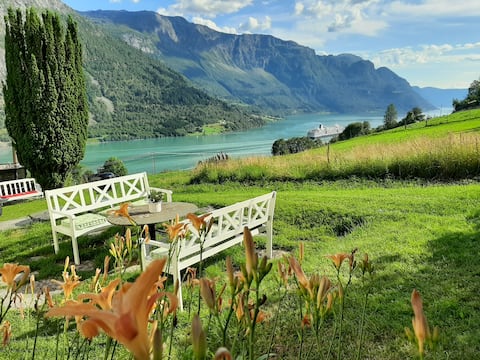 Gorgeous house with panorama fjord view