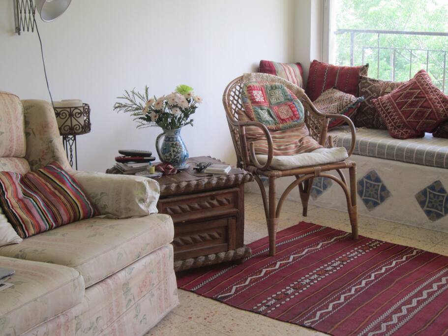 Natural Lit Living Room