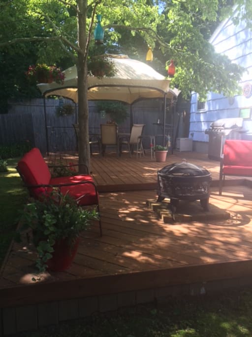 The Back Yard