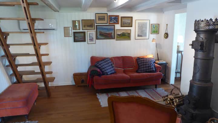 Living room with iron stove.