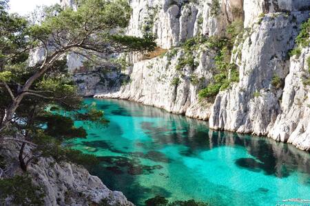 Plages Du Prado Vacation Rentals Homes Marseille France Airbnb