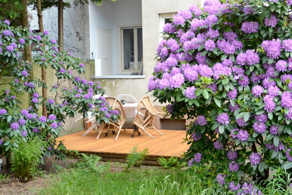 Garten / Terrasse