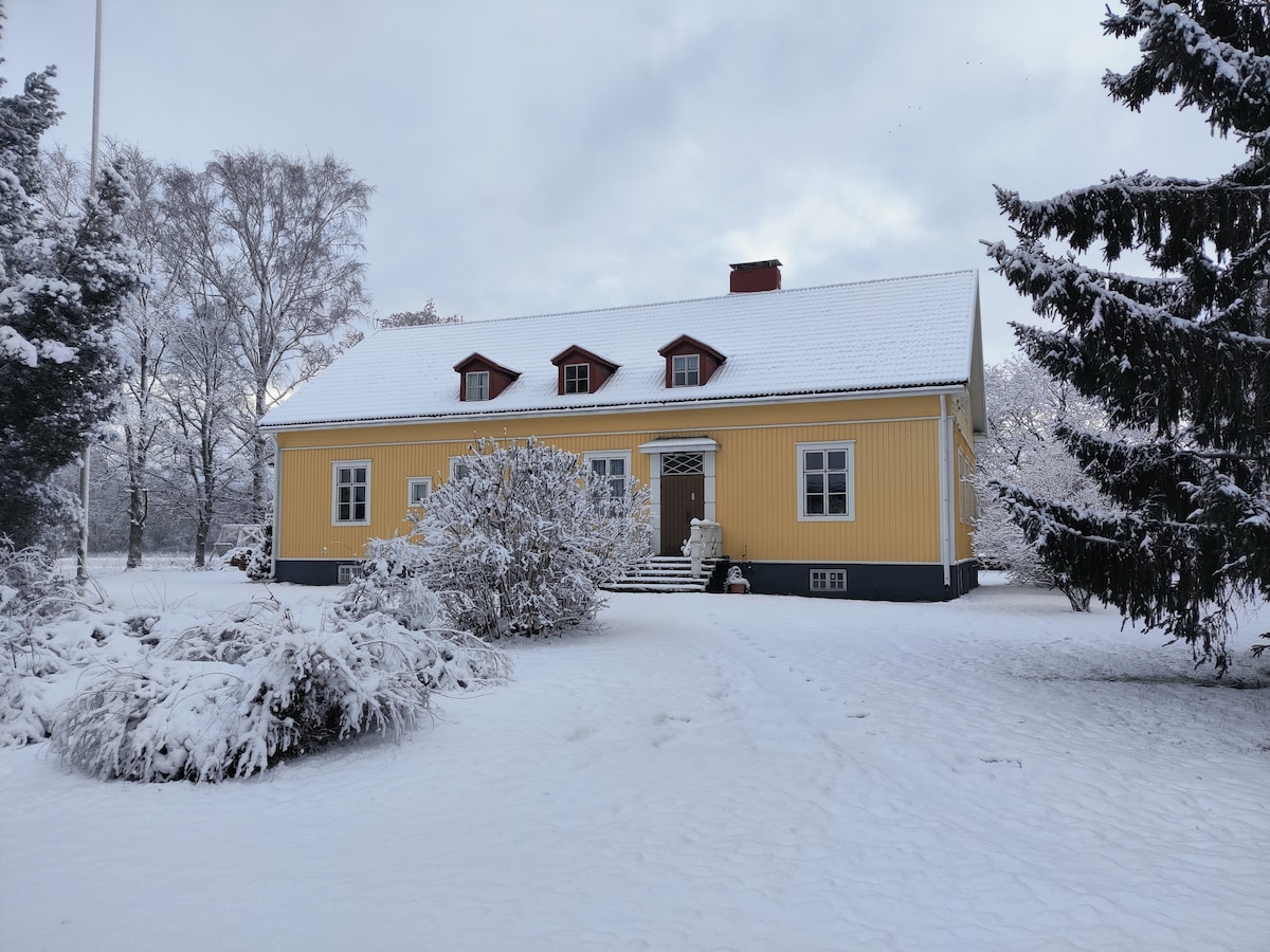 A charming yellow house is enveloped in fresh snow, surrounded by snowy trees and delicate shrubs. The structure features a gently sloping roof and multiple windows, while a welcoming front door is set at the center, leading into the inviting interior.