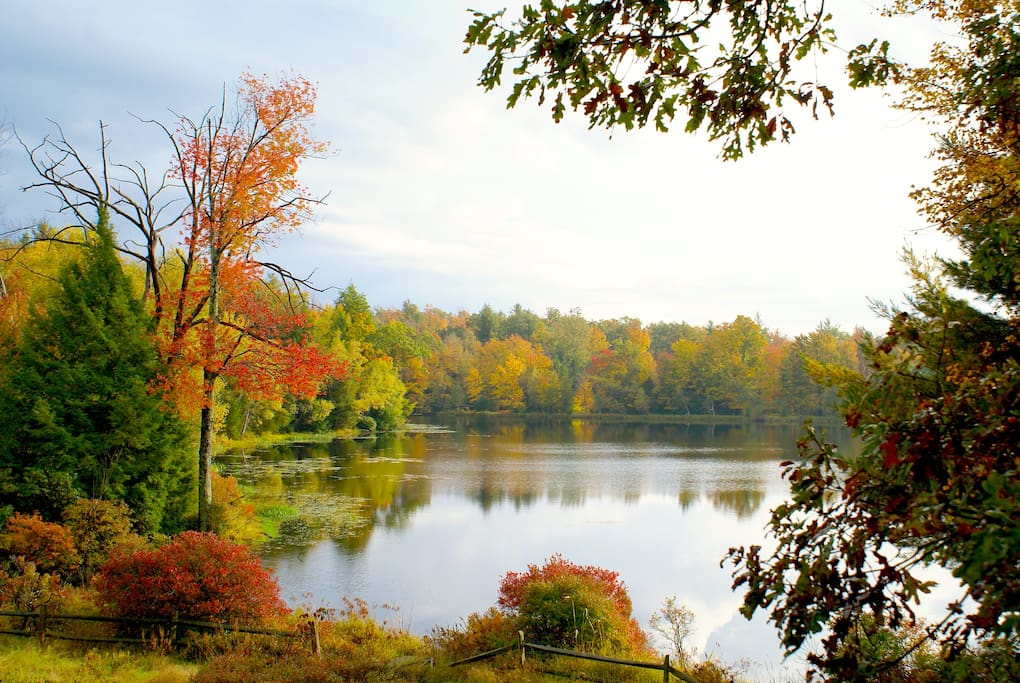 Beautiful Lake Front House Houses for Rent in Wurtsboro, New York