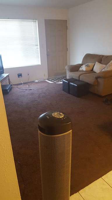 Spacious living room. Chromecast included. Comfortable couch could sleep another person.