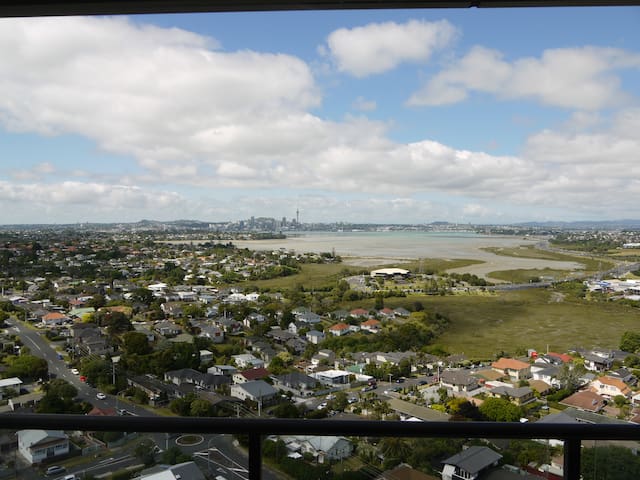 Panoramic Harbour and City Views