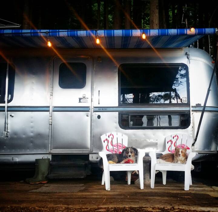 Rainforest Rustic Retreat Campers/RVs for Rent in Sointula, British