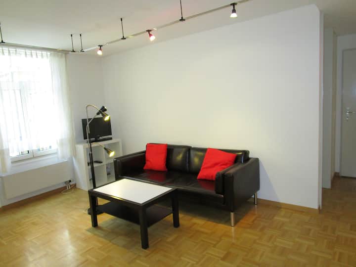 St. Gallen City Center 2Room Apartment Flats for Rent in Saint