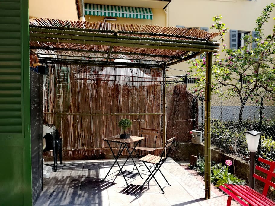 The bamboo gazebo